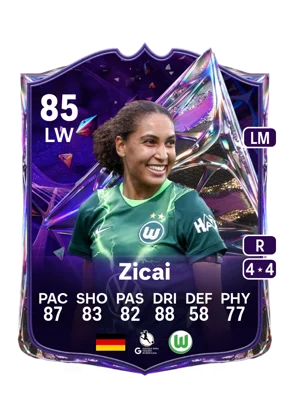 Zicai 85 LW