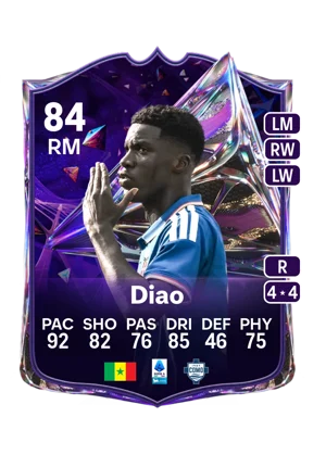 Diao 84 RM
