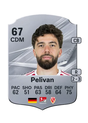 Pelivan 67 CDM
