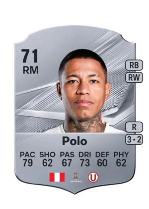 Polo 71 RM