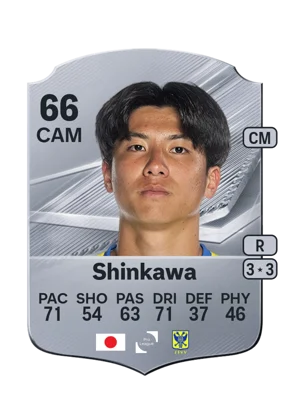 Shinkawa 66 CAM