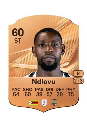 Ndlovu 60 ST